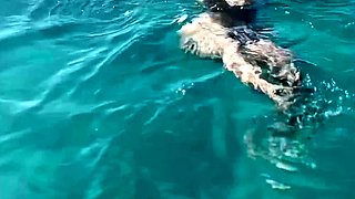 Clear Skys Blue Water With The Perfect Babe Angel Youngs