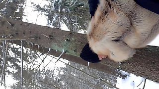 Sex with Stepmom in a Winter Park