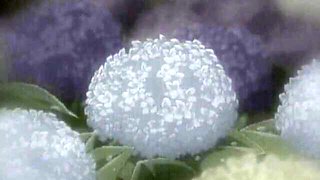 Rocking date - japan video - Fuck Me Like A Monster