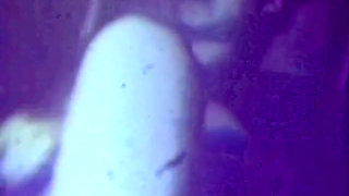 Vintage MILF knows how to please her man  (No audio but music)