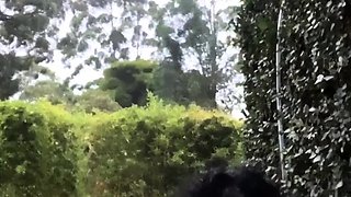 Hot Big Black Latina booty Black and Ebony