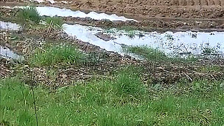 Slave Girl Walks Outdoors Almost Naked.