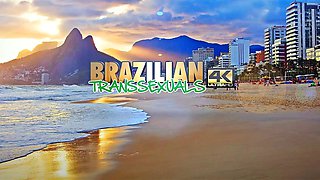 BRAZILIAN TRANSSEXUALS - Stars Always Ll Shine In This Site