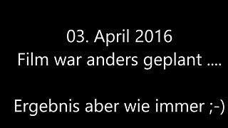 German Amateur Gets a Post-Easter Surprise