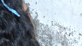 Neighbour's Bhabhi Sucked My Dick for Fucking Her Pussy