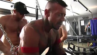 Pig Week Gorilla Porn Sex Orgy 2
