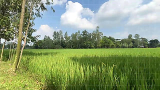 Bangla Choti golpo student and teacher best performance student