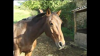 Two Horny Sluts Ass Fucked at the Stables and Cum on Their Small Tits