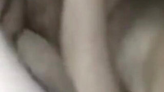 Arabian Slaves with Her Owner Sehar