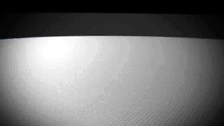 LICENSED TO BLOW - Cute Babysitter Offers Sex Services