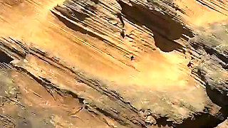 Sjambok on the Beach. Summer Holiday in South Africa Part 1