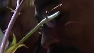 Two Big Tits Girlfriends Chill by the Pool and Then Deepthroat Two Big Black Cocks.