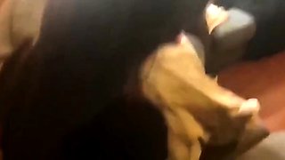 American Amateur's Interracial Threesome