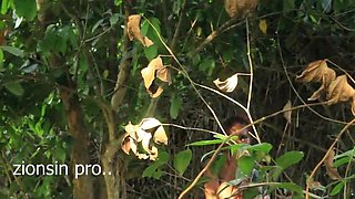 Juicy Teen Pussy Gets Bent Over By Lucky Farmer - Outdoor BBC Action