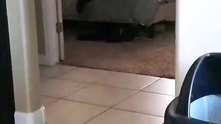 Redhead amateur Milf homemade hardcore action with cumshot