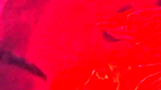 Caught Walked in on Stepmom Again