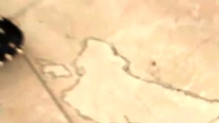 Horny amateur girls with a foot fetish play along