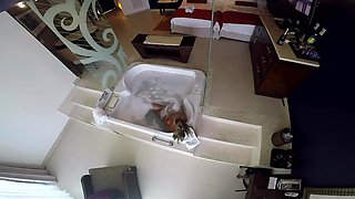 Lovely Amateur Fuck With Horny Chick - Jasmine Rouge And Titus Steel