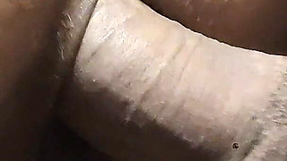 Pussy of a Horny Black-haired Girl in Doggy Style Fucking