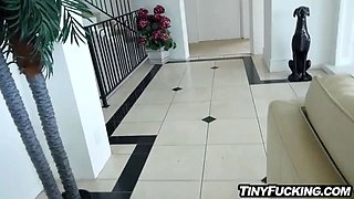 Horny babysitter blasted screws her clients Big Cock