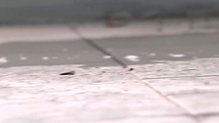 Big Pissing In Public Places. Hairy Pussy Milf Leaves Puddles Of Urine On Common Areas Of Apartment Buildings. Amateur Fetish Compilation. Pawg. 7 Min