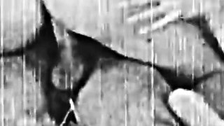 El Satario - Restored 4K Vintage Erotica