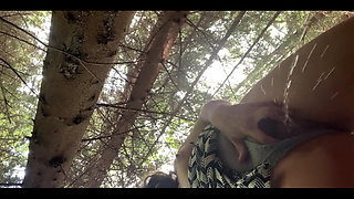 I Walk in the Park and Pee Bb, Did You Ask Me for This?