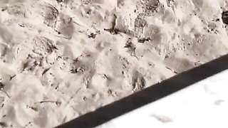 Aristocratic Kali Roses and Kali - oral porn - Mr Lucky Life