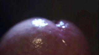 Hypno Sissy Boy Gets Oiled Up & Strokes His Big Cock