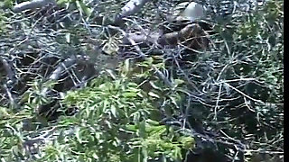 Hot bitch ass fucked on the hiking trail