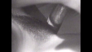 The Pig Eats My Vagina