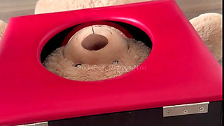 How much would you like to be the teddy bear in the box?