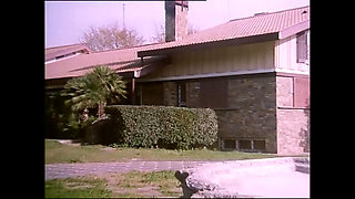 Hard anal vintage sex! DVD