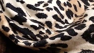 Gaping Pussy Black Pantyhose Wedgy Cameltoe Nylons Hairy Pus