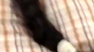 Indian Desi School Sex Viral Mms