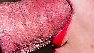 Compilation - Real Couple Sex, Best Scenes