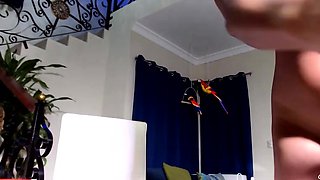 MaxineX Sexy Secretary Anal And Squirting