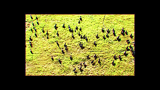 Flawless American Teen Rides Big Cock Until She Is Full of Cum