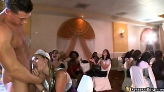 Stripper bride gets wild at the wedding party with CFNM and dancingbear