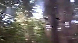 Walk in the Woods