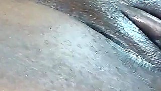 Phat Ass Booty Cumming on My Dick and Kept Asking for More