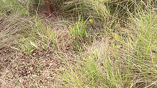 Jungle bhabhi jungle room hot devar ji