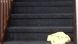 Watch Thow This German Slut Got Hardcore Fuck at Staircase