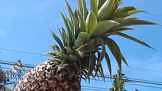 Dia en mexico