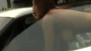 This Car Is a Pussy Magnet