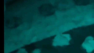 vidma_20250731_075648.mp4