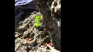 Beach Encounter With Bbc, Hubby Gets Sloppy Seconds