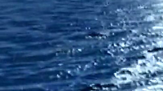 Homemade Sex and Pleasure - Exciting Film with Beautiful Pornstars