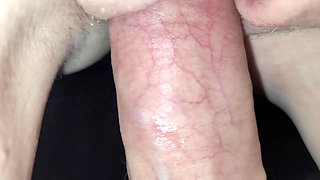 Cock in Pussy