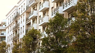 Amateur milf outdoors blowjob and fucking